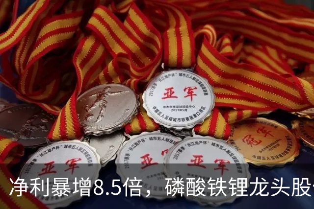 净利暴增8.5倍，磷酸铁锂龙头股价收跌超9%